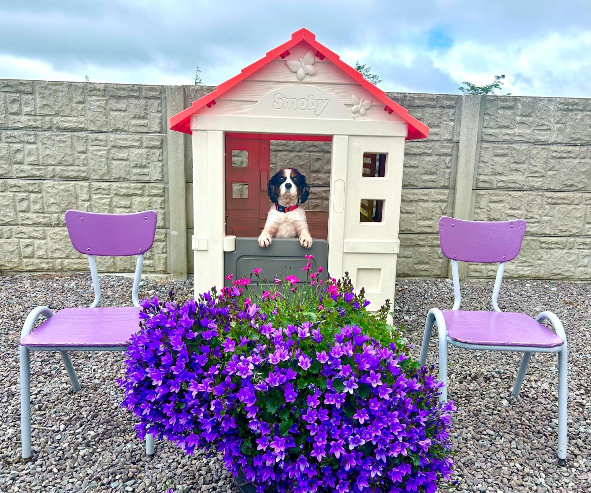 Breenville Farm House Tralee Exterior foto